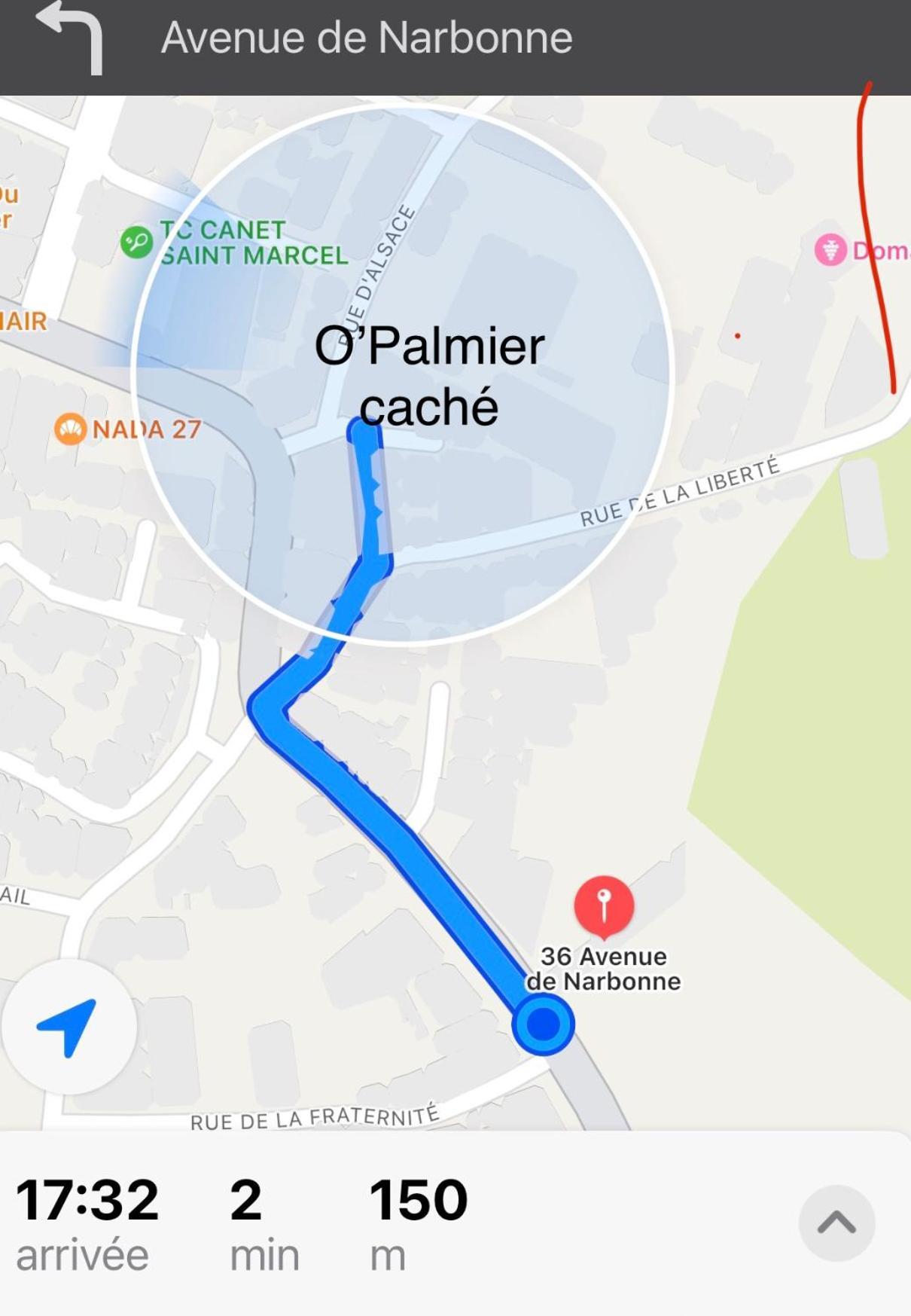 O'Palmier Cache Bed & Breakfast Saint-Marcel-sur-Aude Ngoại thất bức ảnh